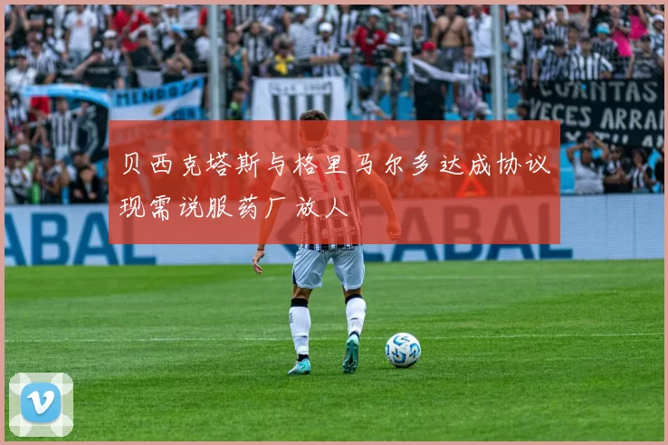 贝西克塔斯与格里马尔多达成协议现需说服药厂放人